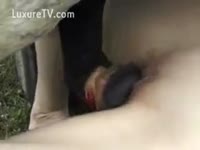 Getting screwed by giant rod